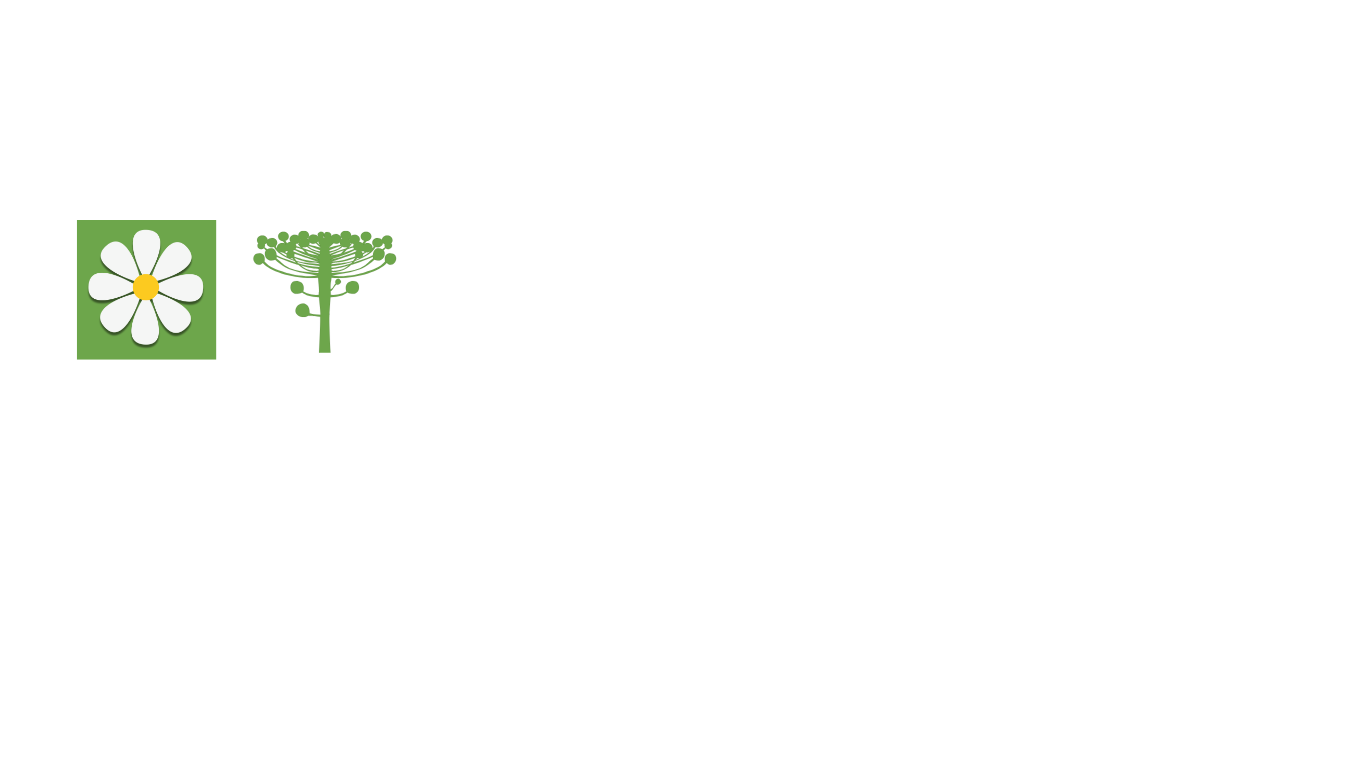 Logo de Turismo do municipio de Mandirituba